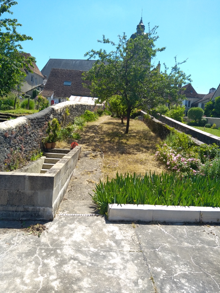 Terrain avant travaux, herbe sèche et arbre existant