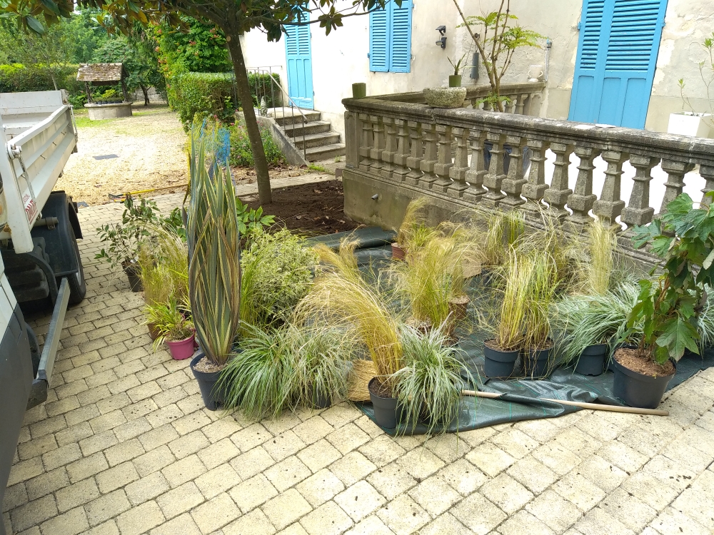 Plantes en pot prêtes à être installées dans le massif
